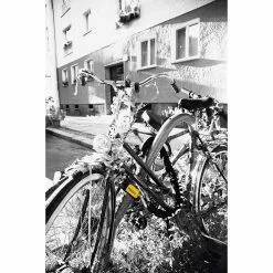 Kryptonite New York Fahgettaboudit 1410 Antivol à Chaîne 7 Kryptonite New York Fahgettaboudit 1410 Antivol à Chaîne -Vélos Remise 93704F518B03E92069EBB80834F910F2