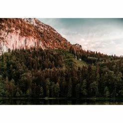 Vélo Rondo Ruut ST 1 (gravel, 2022) -Vélos Remise Rondo Ruut ST 1 Gravel Bike 2022 Adventure Bikes Green Black 2022 RB 462 3